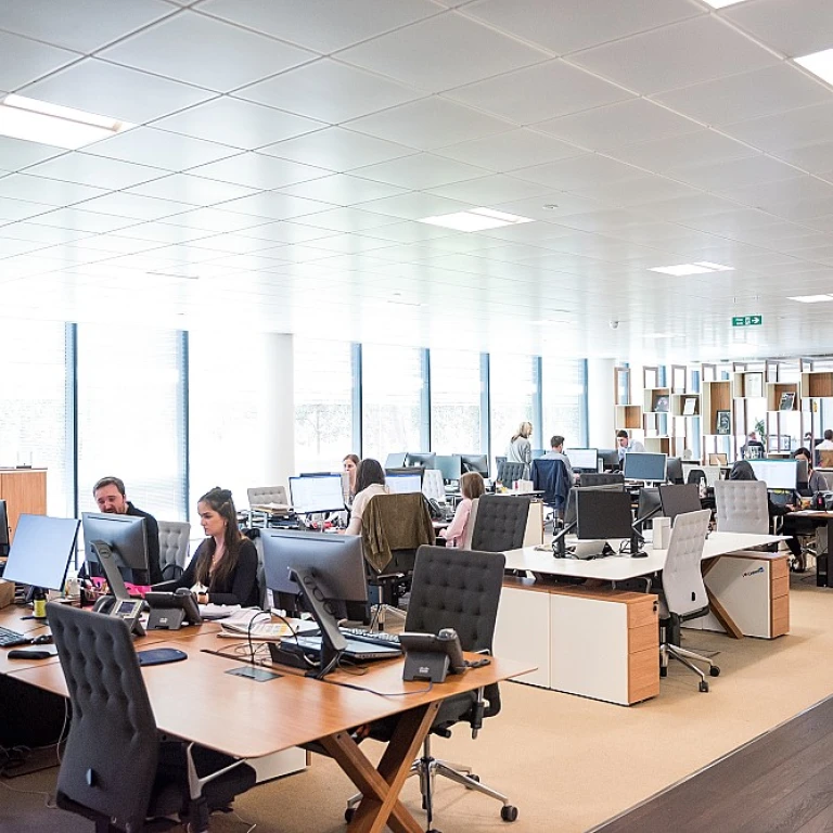 Understanding the Level 2 Business-IT Maturity Model for HR Leaders