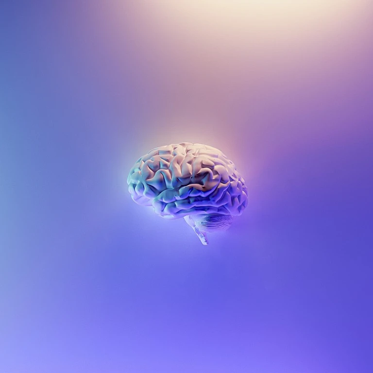 Exploring the Future of HR: Conferences to Attend