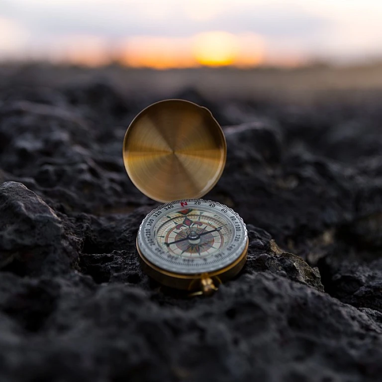 Elevating Your Brand with Agile HR Solutions