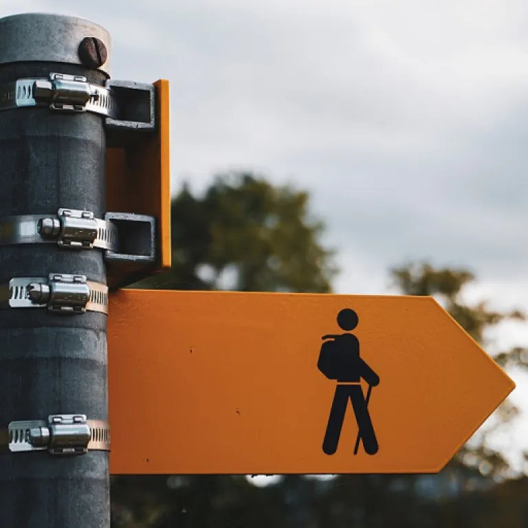 Understanding the kubler ross curve change in the chief human resources officer career